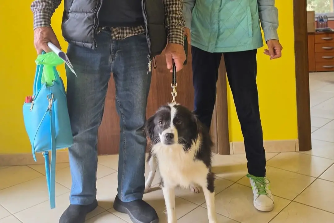 La piccola Coco con la sua nuova famiglia (foto concessa)
