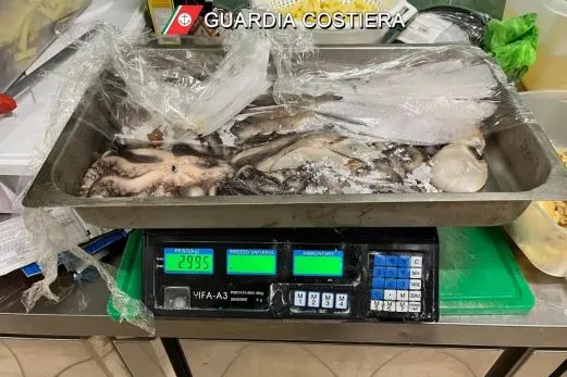 Le verifiche (foto Guardia costiera)