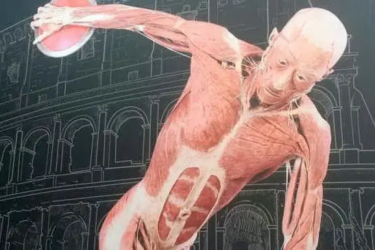 "Real Bodies" a Roma