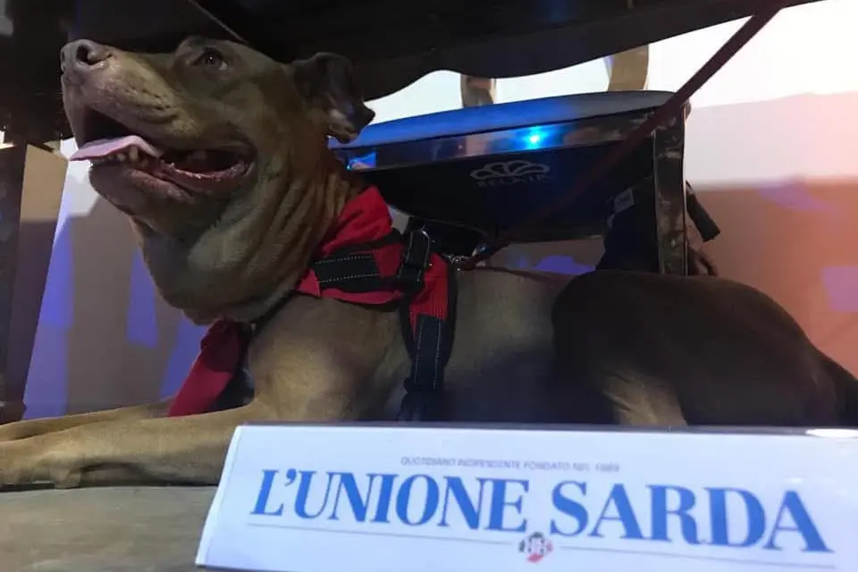 Palla alla cerimonia per i 130 anni dell'Unione sarda (foto V. Pinna)