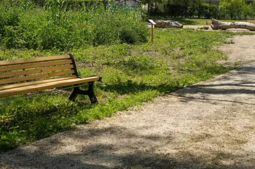 Donna derubata e violentata in un parco a Roma, fermato un 26enne