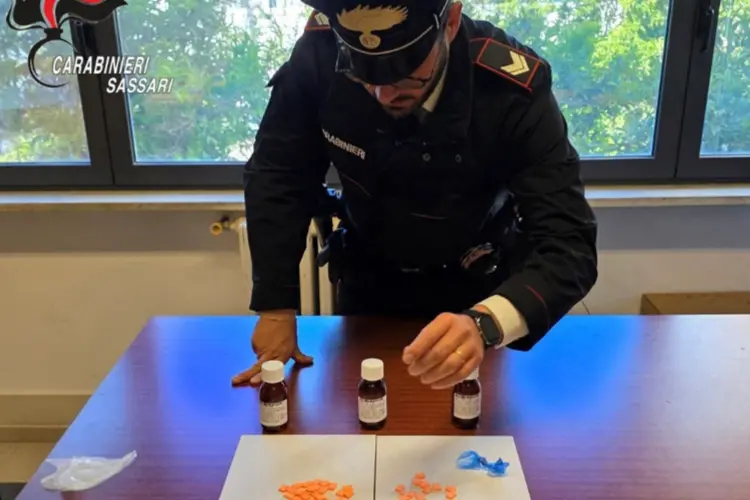 Il materiale sequestrato dai carabinieri (foto carabinieri)