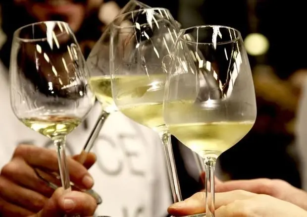 Vermentino, un brindisi dedicato a uno dei vitigni di maggior successo nel mercato internazionale