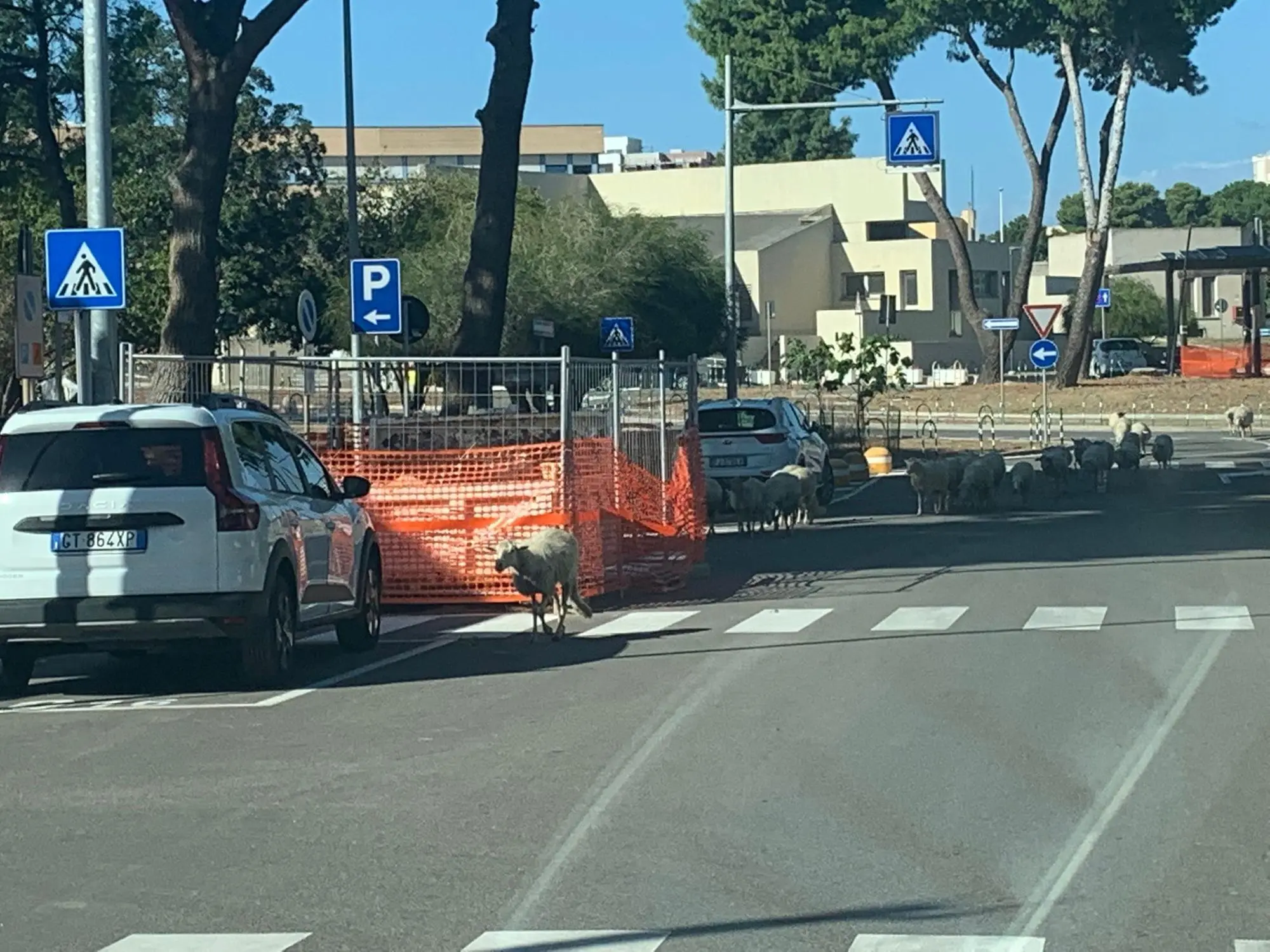 contentid/3f7fa506-c2d3-43df-b071-4bdf5e8e0f7e