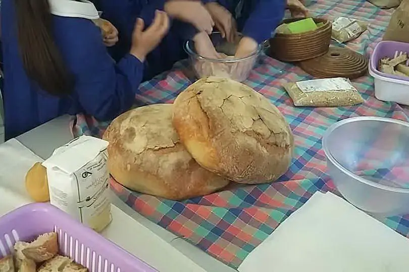 Laboratorio scolastico sul mangiare sano
