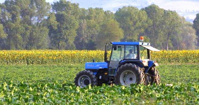 Agricoltura e allevamento, le idee dei candidati a confronto