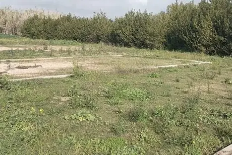 L'area (Foto concessa)