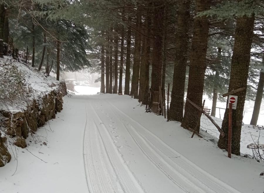 Nevicata di primavera