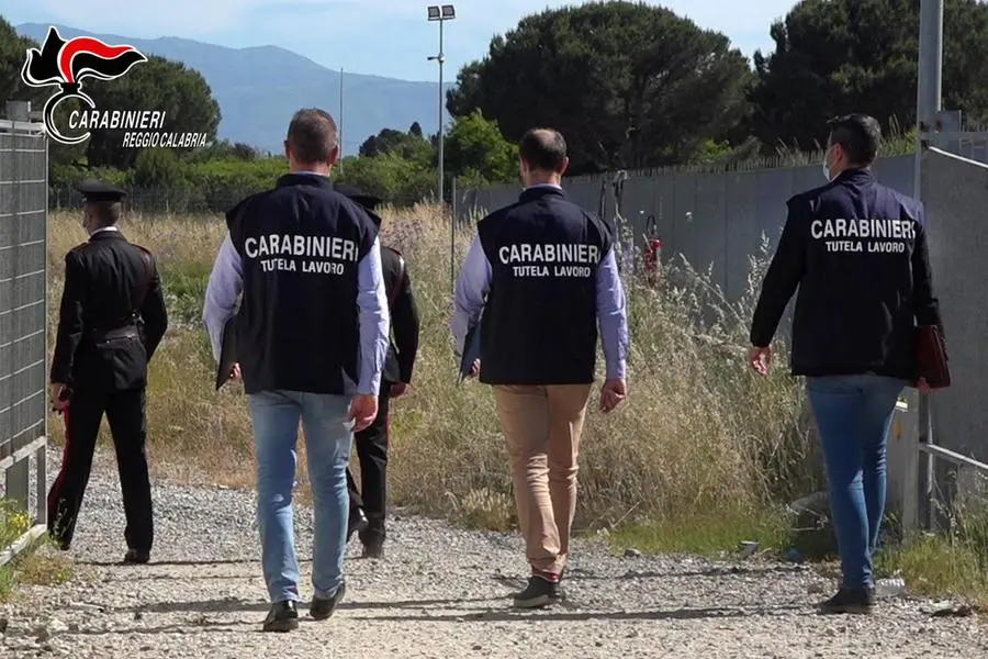 L'operazione (foto carabinieri)