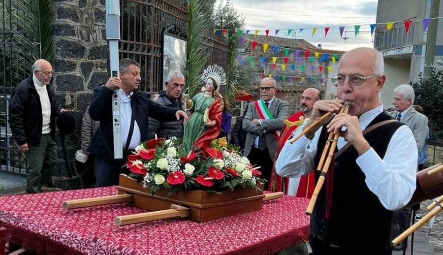 Niente fuochi d’artificio, soldi ai randagi