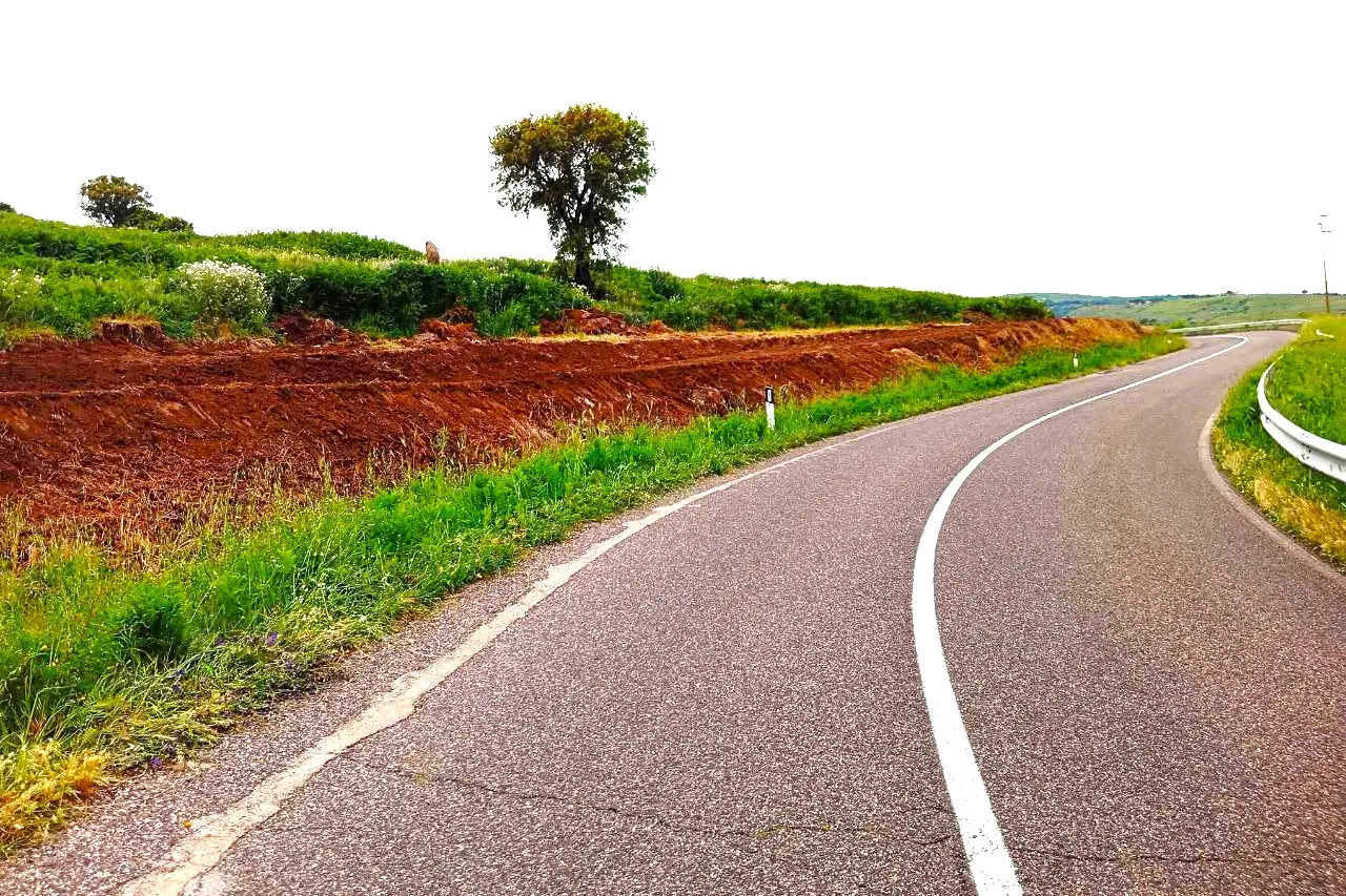 La provinciale 15 (foto Pintus)