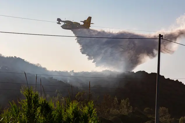L'intervento di un canadair (archivio L'Unione Sarda)