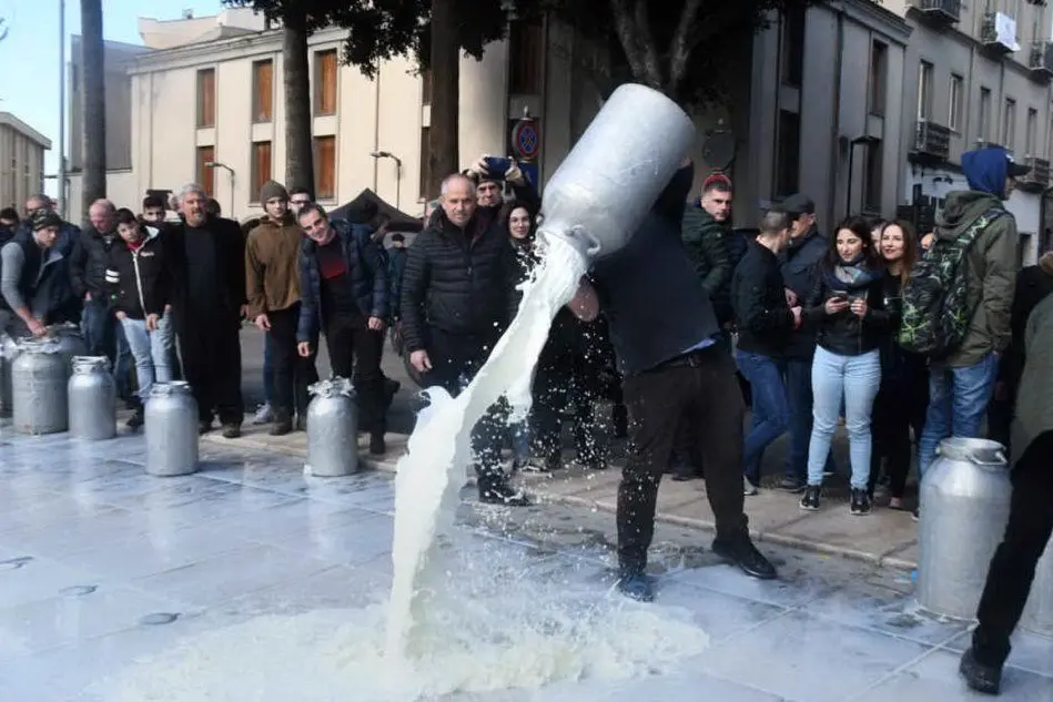 Latte versato dai pastori durante la protesta di febbraio (Ansa)