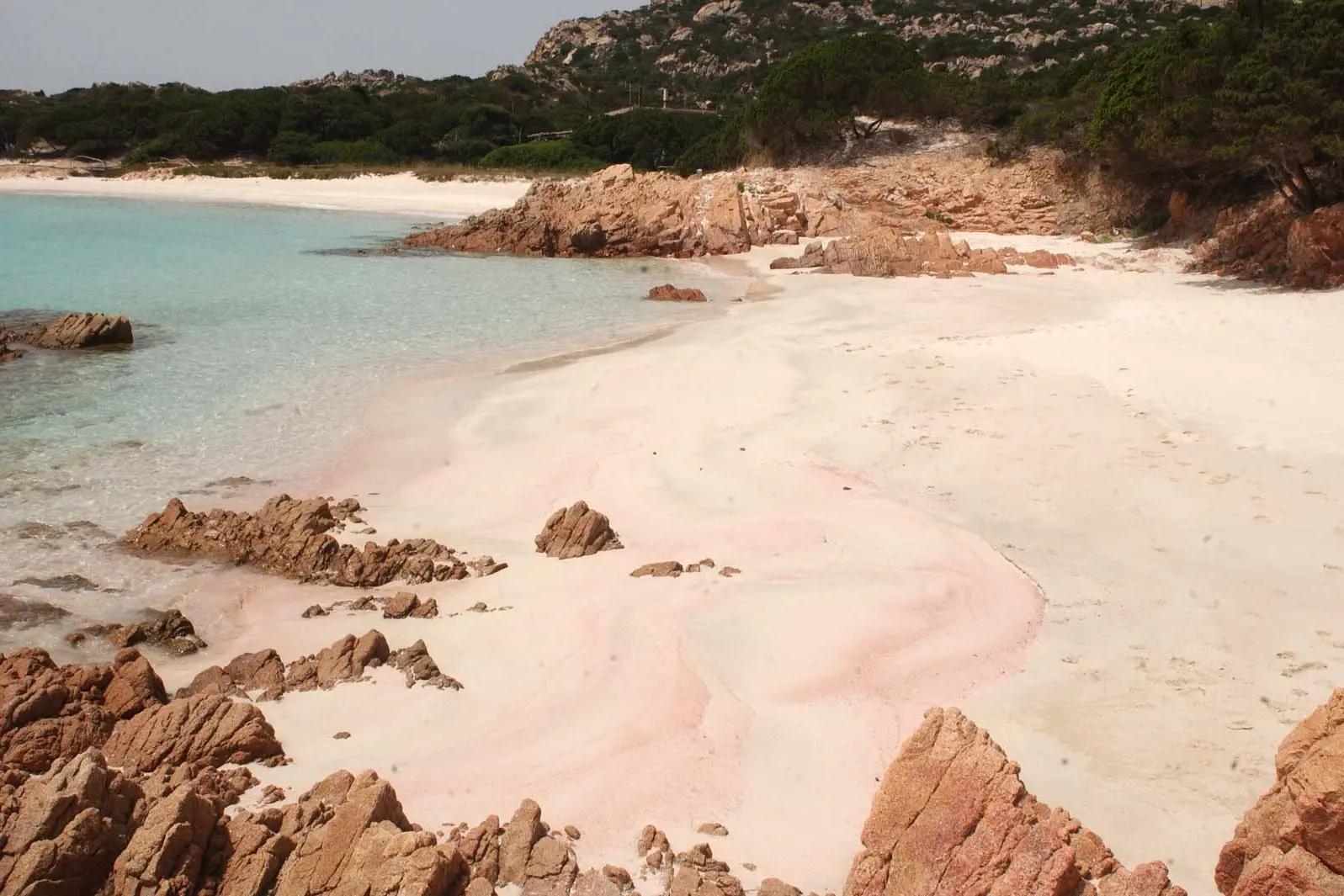 La spiaggia rosa nell'isola di Budelli (Foto Satta/Archivio L'Unione Sarda)