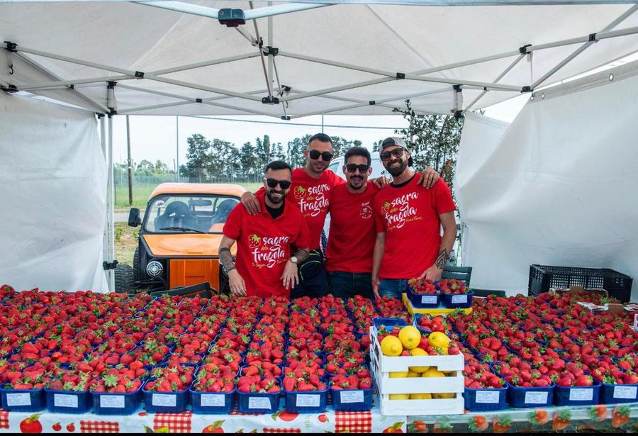 Torna la Sagra della Fragola di Sa Segada-Tanca Farrà