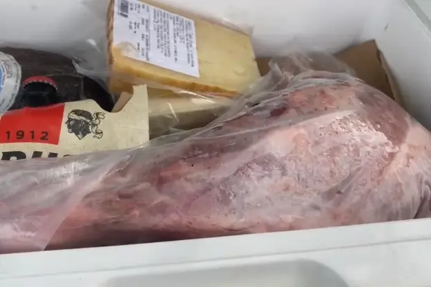 La coscia sospetta di cinghiale sequestrata a Porto Torres (foto concessa)