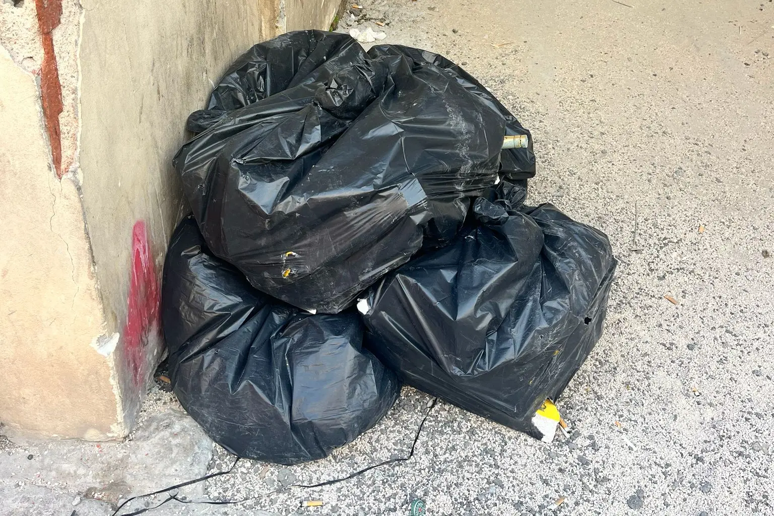 Spazzatura in via Alivesi