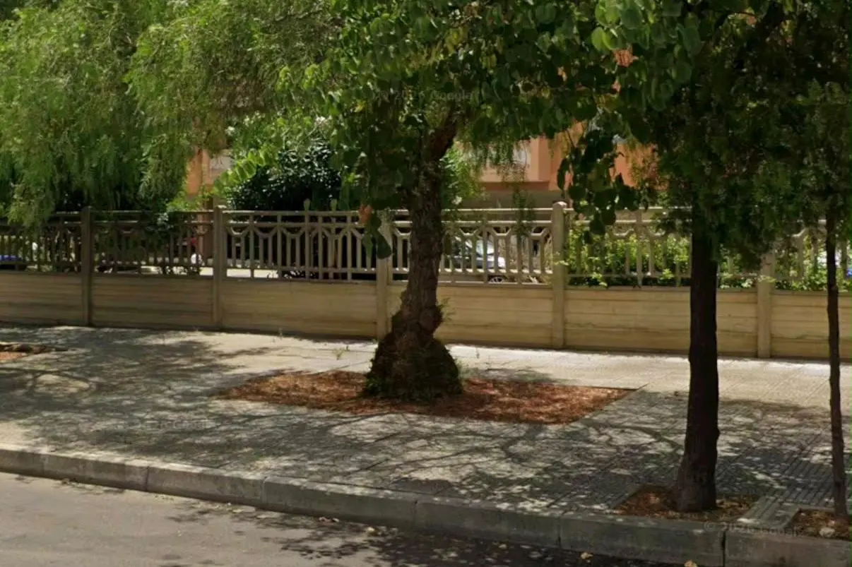 Quartucciu, l’albero rimosso in via Vivaldi