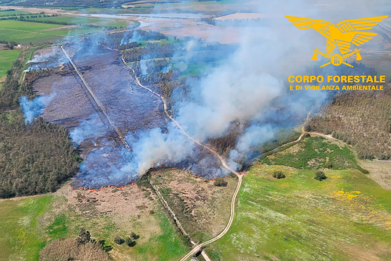 Incendio ad Arborea in località Pagu e Bonu (Foto: Corpo Forestale)