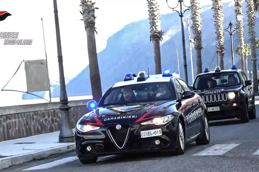 Carabinieri (foto Ansa)