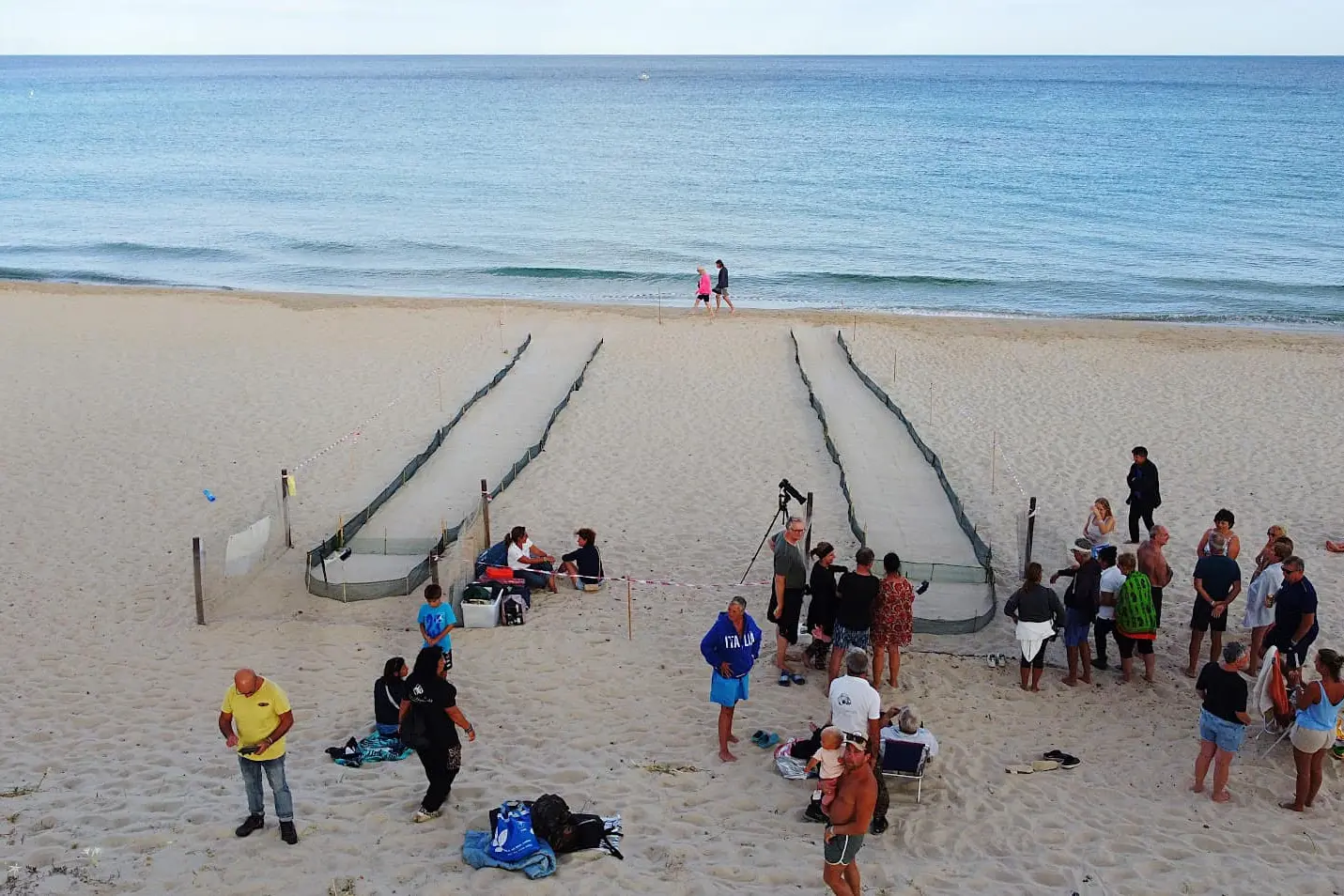 I nidi sulla spiaggia (foto Area Marina)