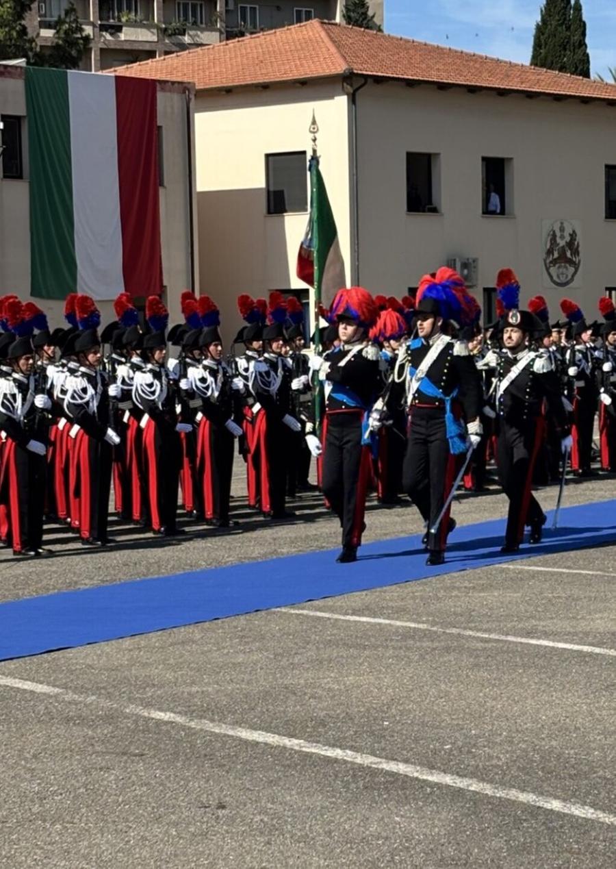 Carabinieri, quasi 4 arresti al giorno e allarme piantagioni