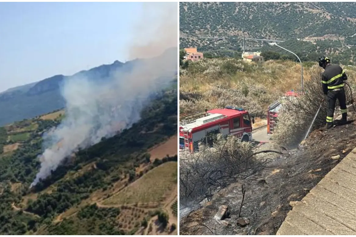 (Foto Corpo Forestale e Vigili del fuoco)