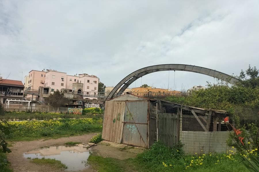 Parchi minacciati dal degrado