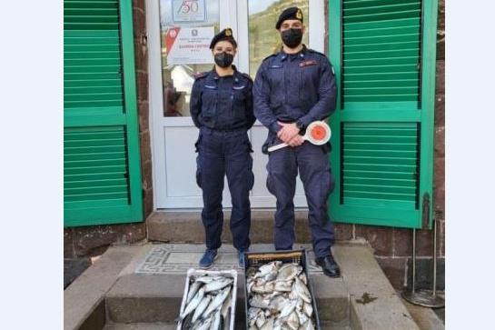 Bosa, la Guardia costiera sequestra 10 kg di pesce: nei guai un ambulante