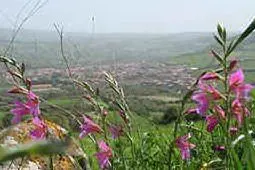 Immagine panoramica di Villaurbana