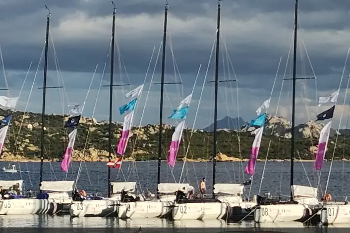 La manifestazione del 2024