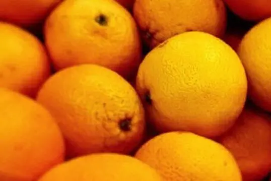 Un carico di arance