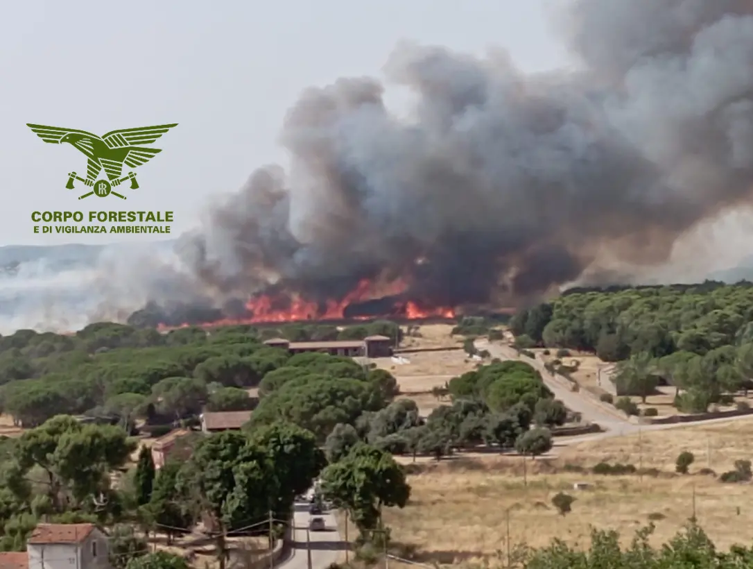 Il grosso incendio divampato a Nurri (foto Corpo forestale)