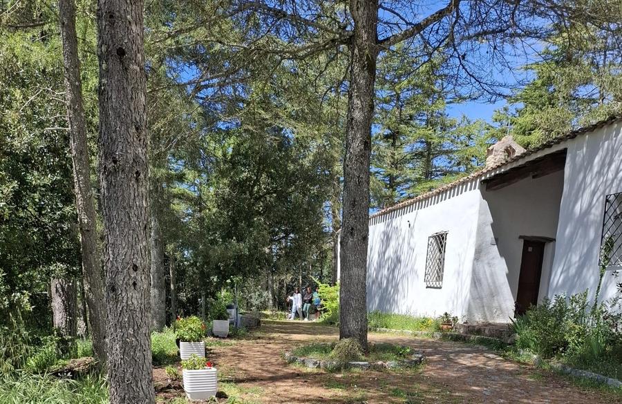 Al Monte nuovi lavori dei volontari