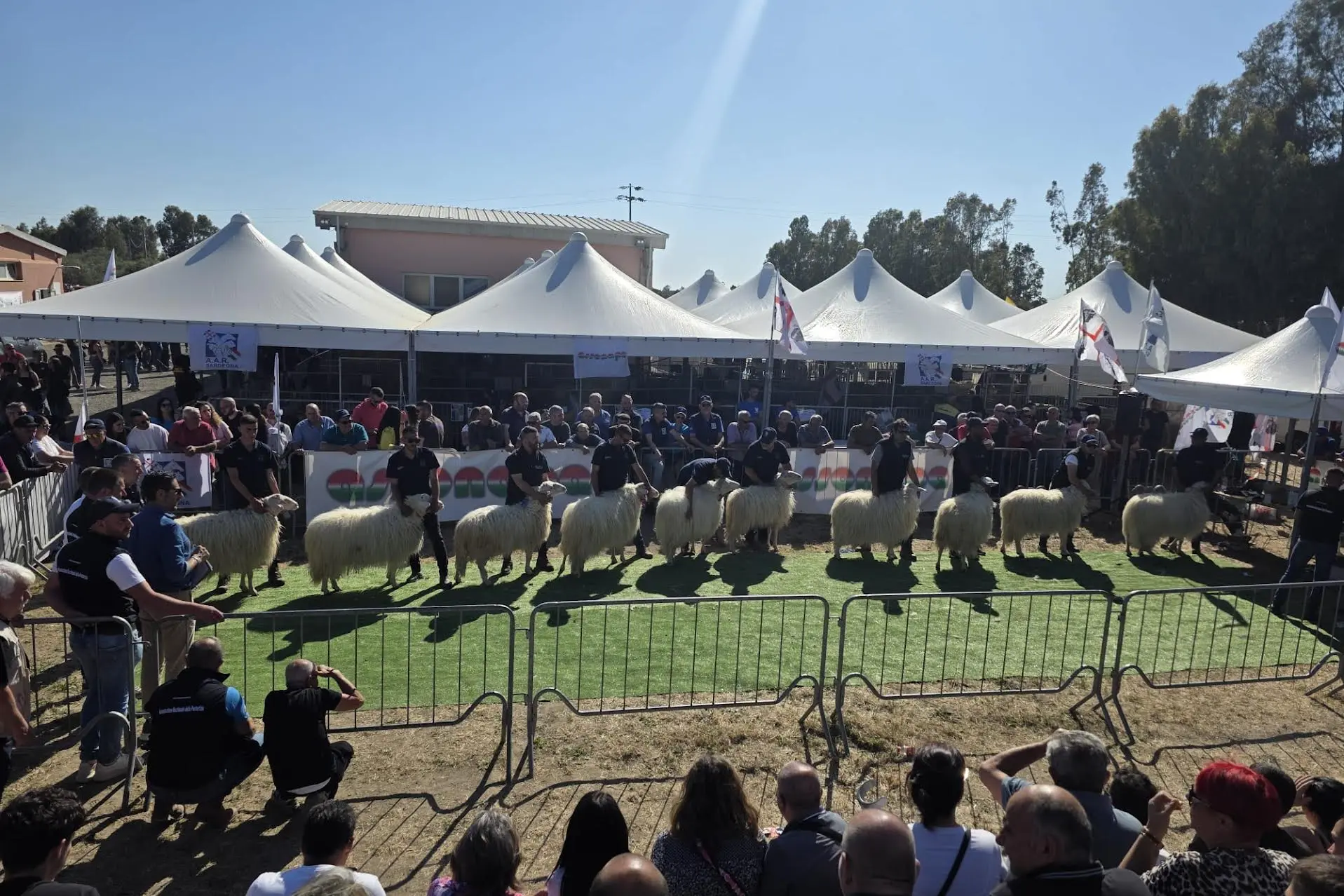 L'evento (Foto concessa)