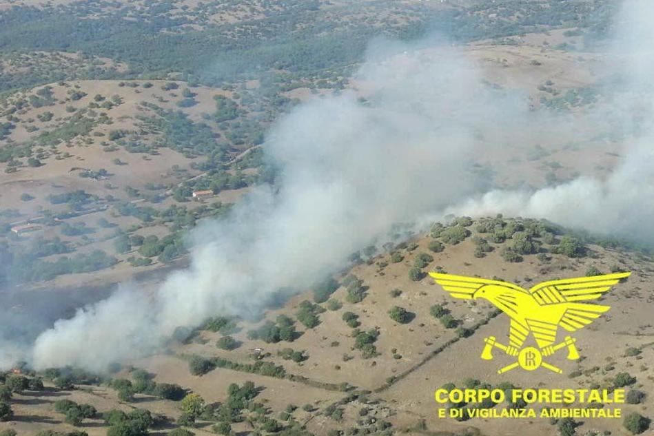 Vasto incendio a Serramanna, interviene l'elicottero dei forestali