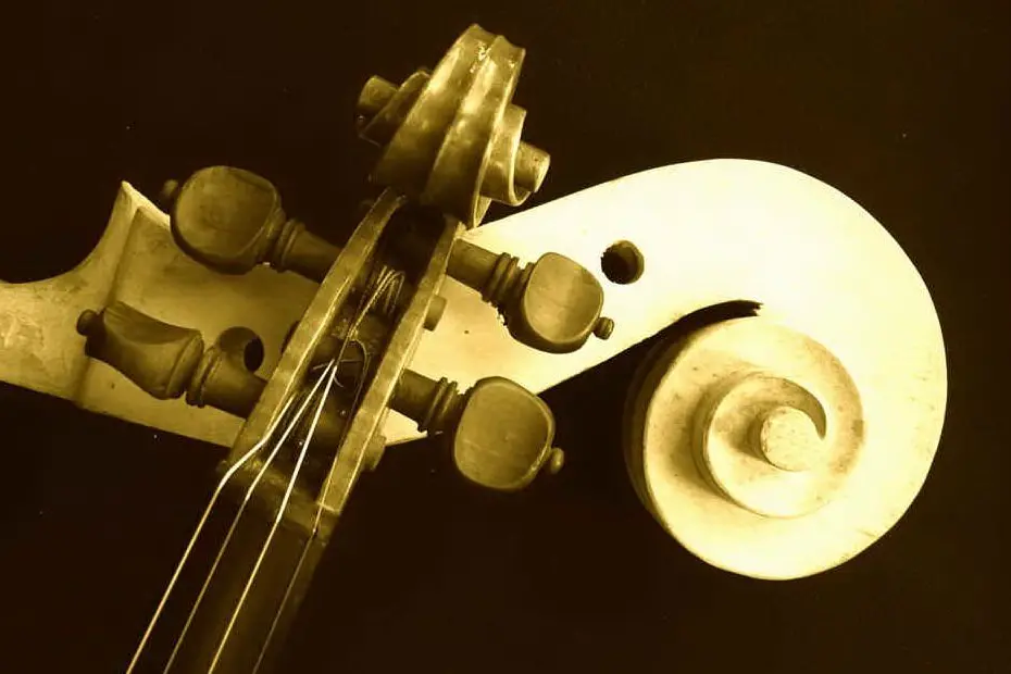 Violino (immagine simbolo)
