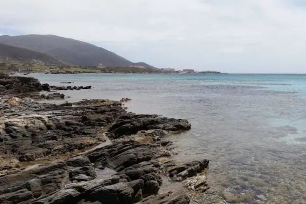 La costa dell'Asinara (foto Pala)