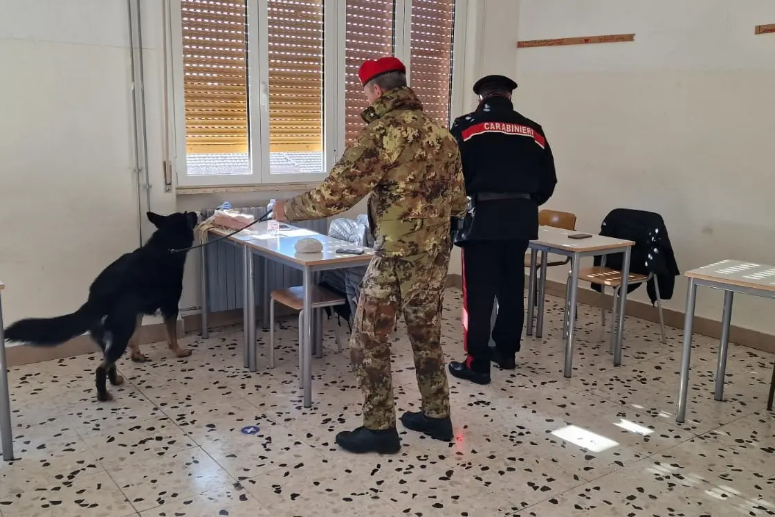 Controlli antidroga nelle scuole di Macomer (foto carabinieri)