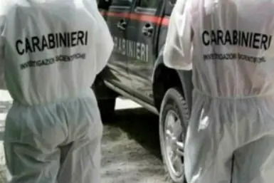 Carabinieri (foto Ansa)
