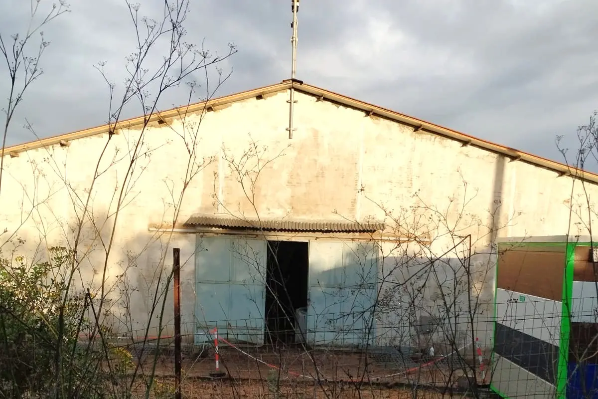 Allevamento di maiali a Caniga