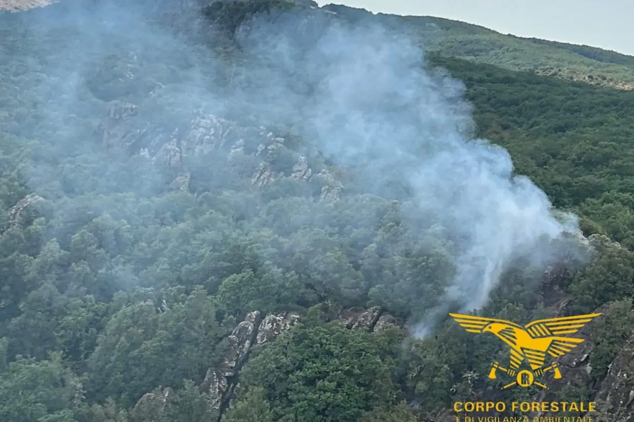 L'incendio nel Comune di Lei in provincia di Nuoro