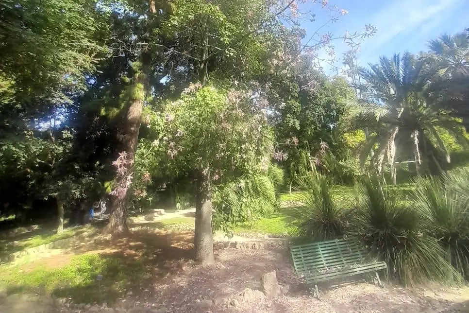 L'Orto botanico di Cagliari in viale Sant'Ignazio