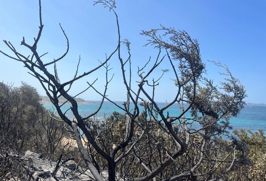 Punta Molentis riapre (via mare)