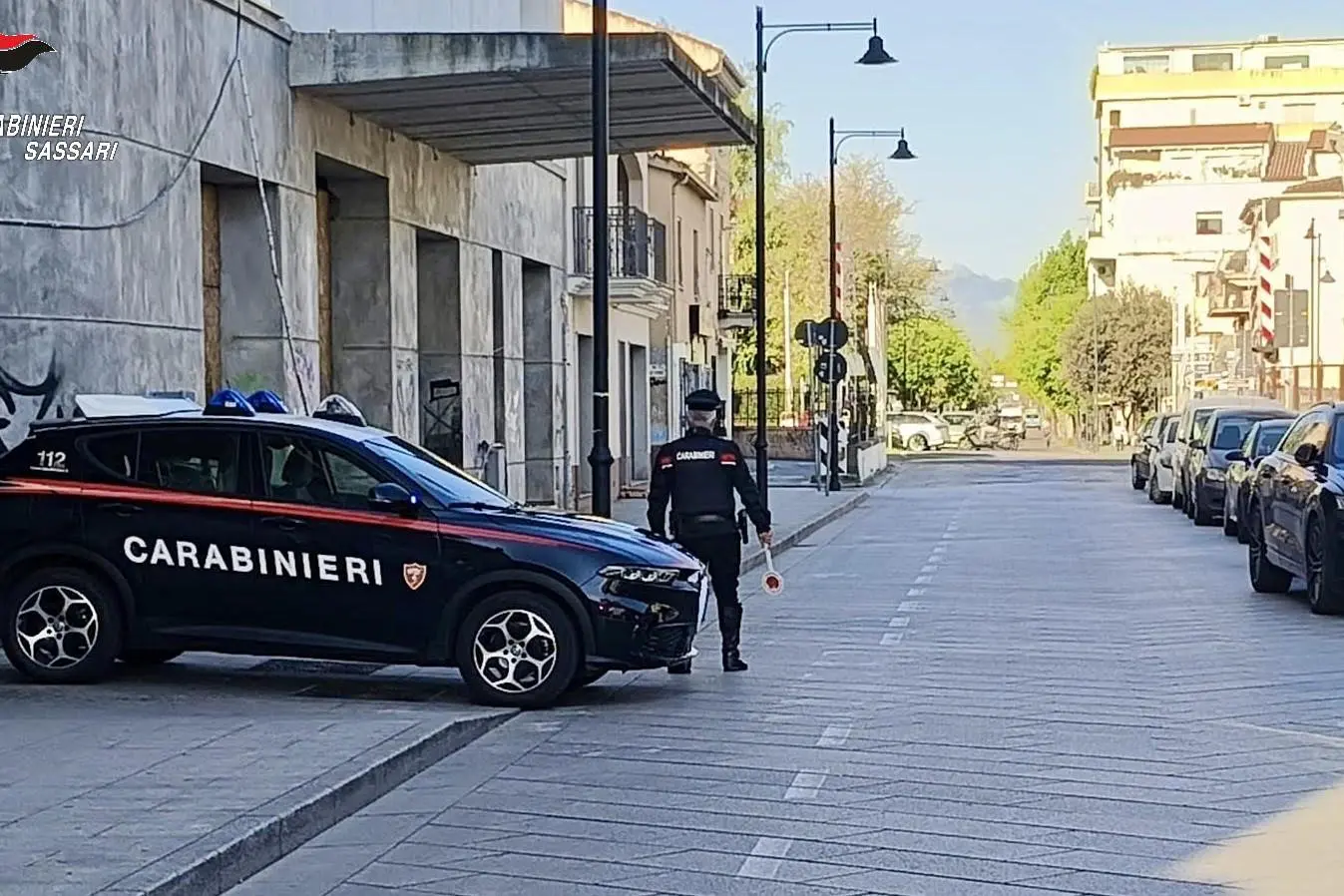 （图片来源：Cc）