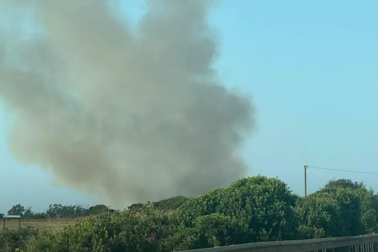 Le fiamme nella provinciale 42 (foto Pala)