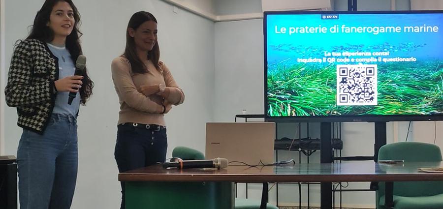 Riforestazione di posidonia oceanica a Santa Teresa Gallura: attecchito il 98% delle talee trapiantate