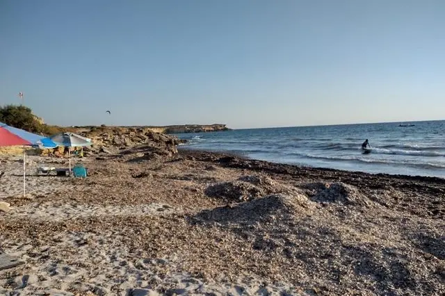 San Vero Milis, posidonia in spiaggia