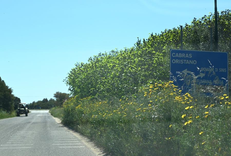 Erbacce e cartelli, giungla nel Sinis