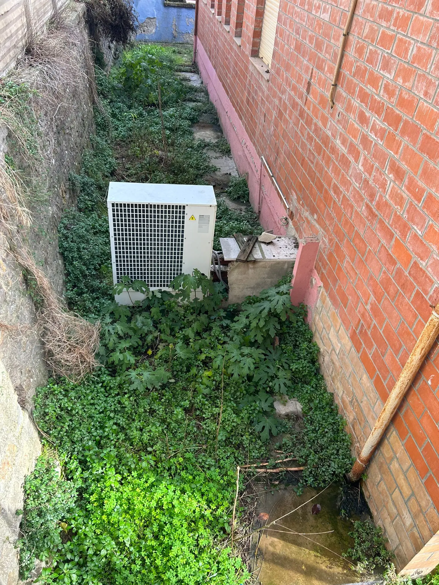 contentid/253925c2-beb2-48cd-ad21-298b84a0562b